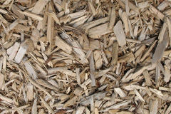 biomass boilers Sandbraes