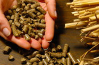 free Sandbraes biomass boiler quotes